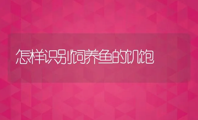 怎样识别饲养鱼的饥饱 | 动物养殖饲料