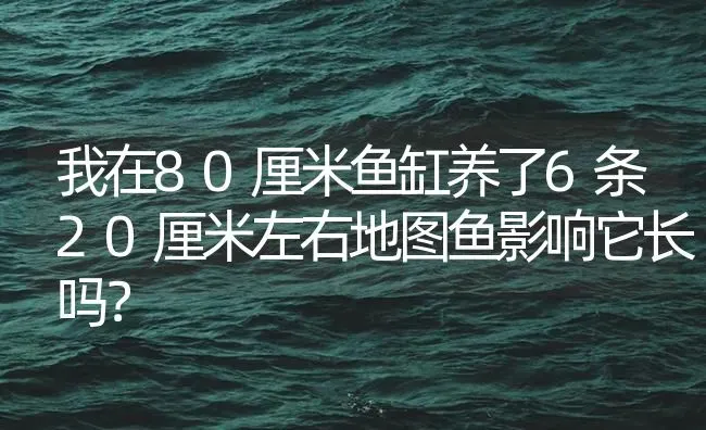 我在80厘米鱼缸养了6条20厘米左右地图鱼影响它长吗？ | 鱼类宠物饲养