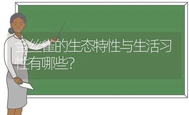 金丝雀的生态特性与生活习性有哪些？ | 动物养殖问答