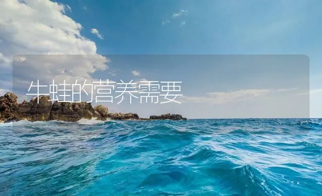 牛蛙的营养需要 | 海水养殖技术