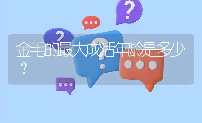 金毛的最大成活年龄是多少？ | 动物养殖问答