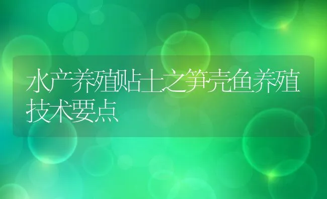 水产养殖贴士之笋壳鱼养殖技术要点 | 动物养殖饲料