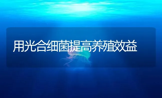 用光合细菌提高养殖效益 | 海水养殖技术