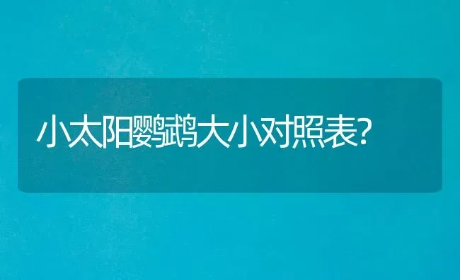 小太阳鹦鹉大小对照表？ | 动物养殖问答