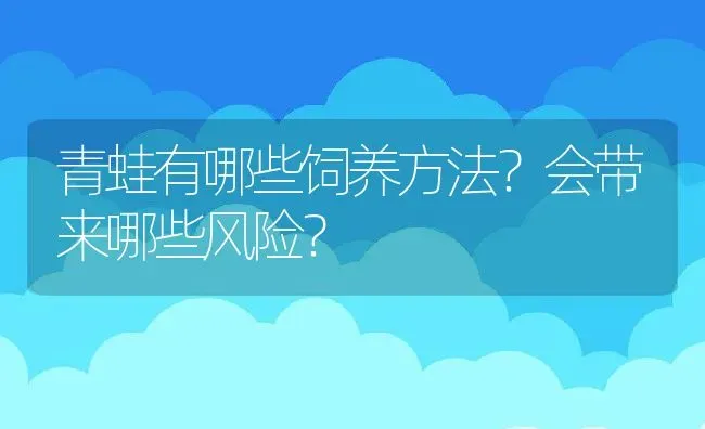 青蛙有哪些饲养方法？会带来哪些风险？ | 动物养殖百科