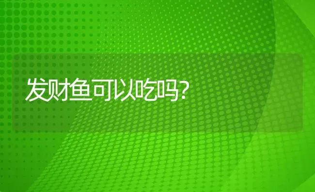 发财鱼可以吃吗？ | 鱼类宠物饲养