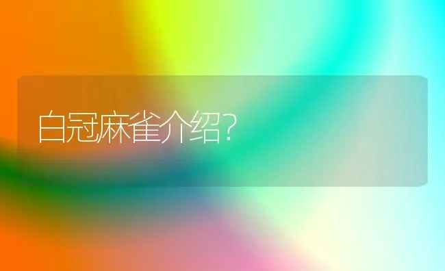 白冠麻雀介绍？ | 动物养殖问答