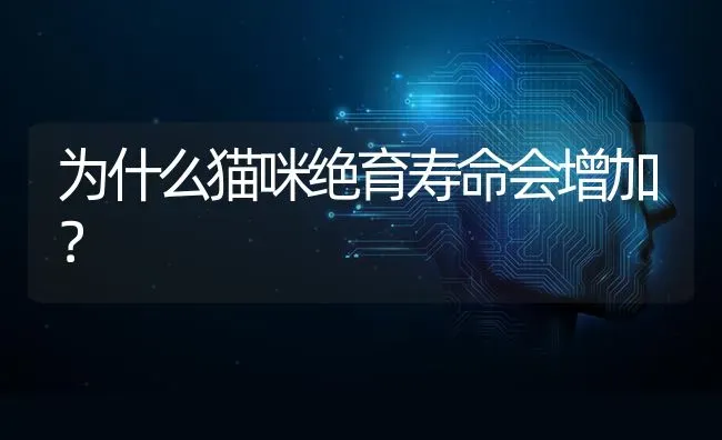 为什么猫咪绝育寿命会增加？ | 动物养殖问答