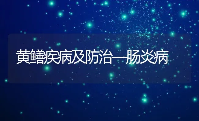 黄鳝疾病及防治―肠炎病 | 水产养殖知识