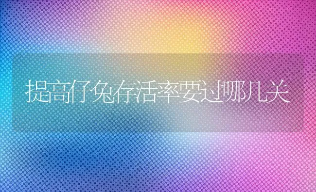 提高仔兔存活率要过哪几关 | 水产养殖知识