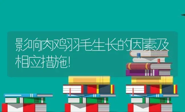 影响肉鸡羽毛生长的因素及相应措施！ | 动物养殖教程