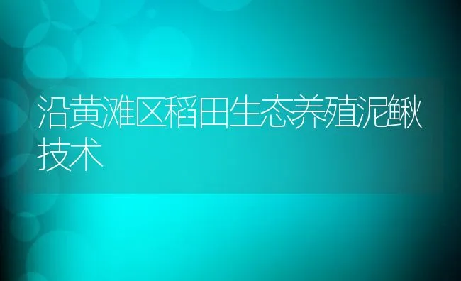 鳄龟养殖的市场分析 | 动物养殖学堂