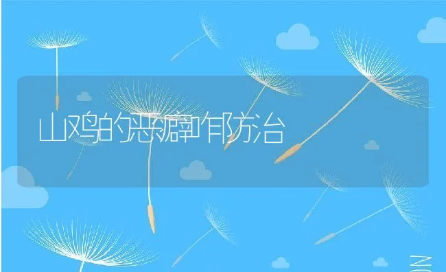 山鸡的恶癖咋防治 | 水产养殖知识