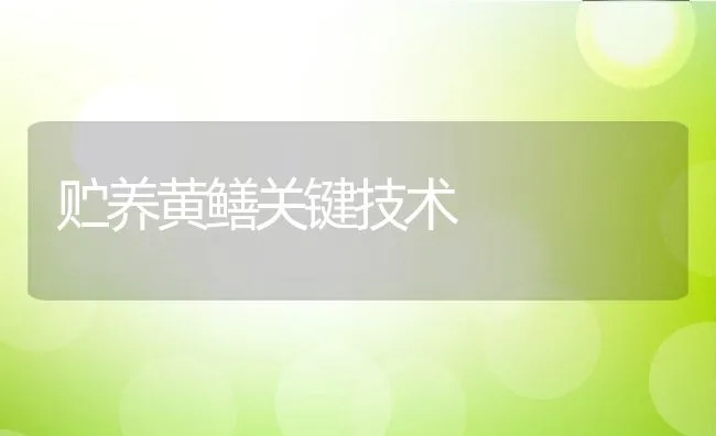 贮养黄鳝关键技术 | 动物养殖饲料