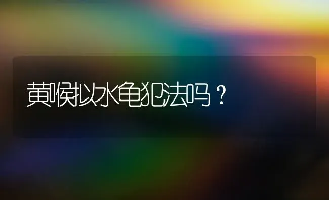 黄喉拟水龟犯法吗？ | 动物养殖问答