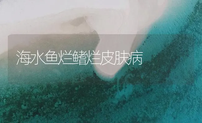 海水鱼烂鳍烂皮肤病 | 海水养殖技术