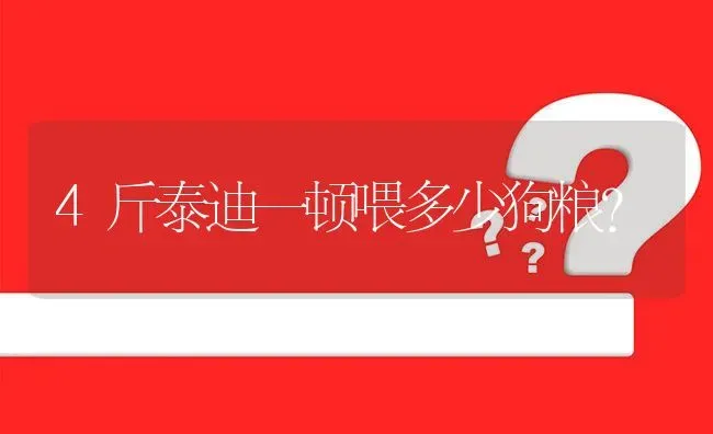 4斤泰迪一顿喂多少狗粮？ | 动物养殖问答