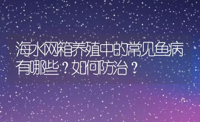 海水网箱养殖中的常见鱼病有哪些？如何防治？ | 水产养殖知识