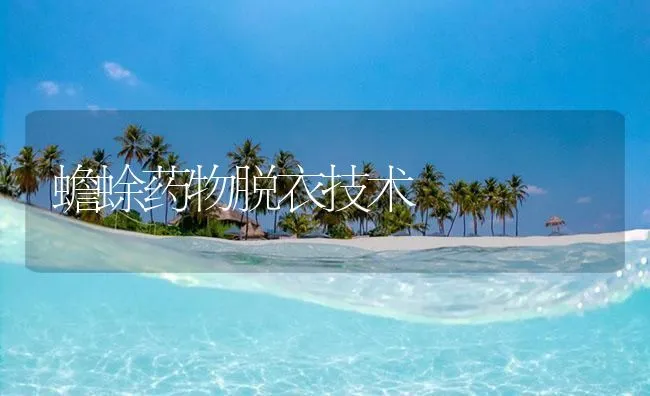 蟾蜍药物脱衣技术 | 海水养殖技术