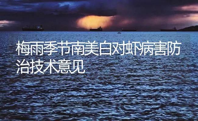 梅雨季节南美白对虾病害防治技术意见 | 海水养殖技术