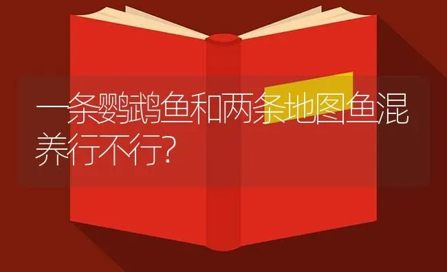 一条鹦鹉鱼和两条地图鱼混养行不行？ | 鱼类宠物饲养