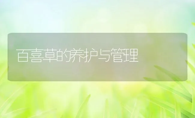 百喜草的养护与管理 | 动物养殖饲料