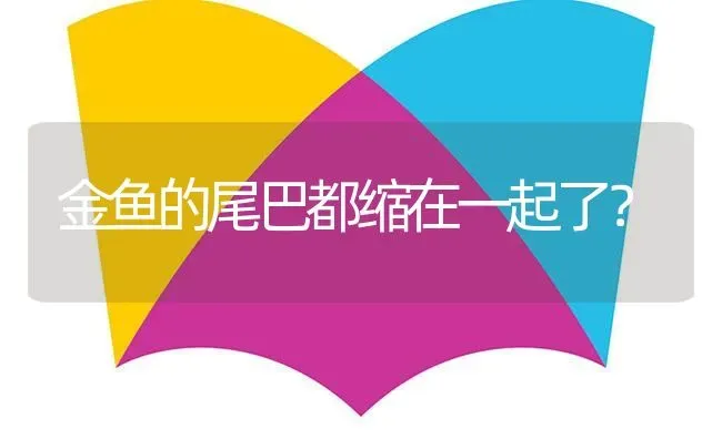 黑玛肺鱼是如何体现生命的力量的？ | 鱼类宠物饲养