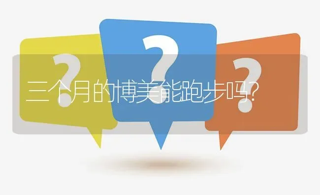 三个月的博美能跑步吗？ | 动物养殖问答