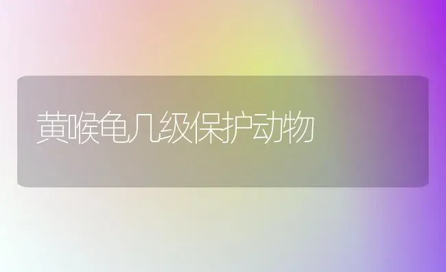 黄喉龟几级保护动物 | 动物养殖问答