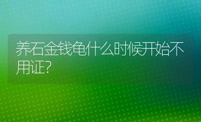 獭兔毛和貂毛的区别？ | 动物养殖问答