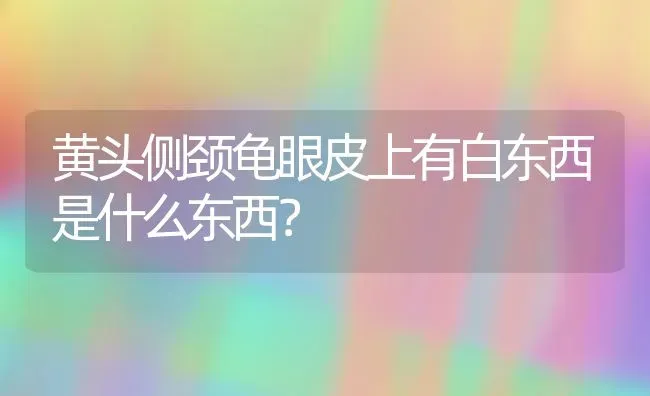 黄头侧颈龟眼皮上有白东西是什么东西？ | 动物养殖问答