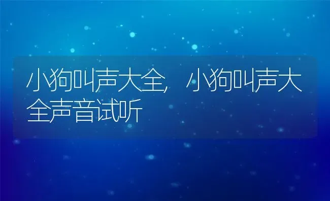 小狗叫声大全,小狗叫声大全声音试听 | 宠物百科知识