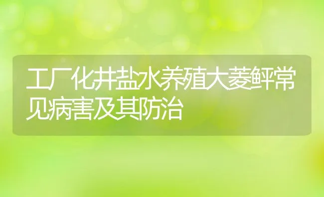 工厂化井盐水养殖大菱鲆常见病害及其防治 | 水产养殖知识