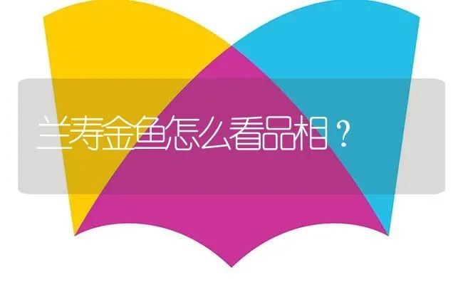 兰寿金鱼怎么看品相？ | 鱼类宠物饲养