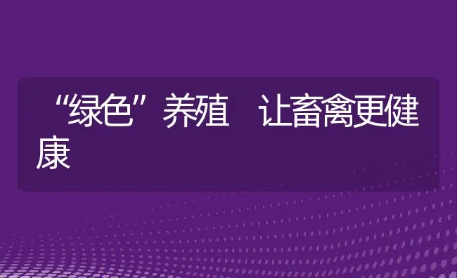 “绿色”养殖 让畜禽更健康 | 动物养殖饲料