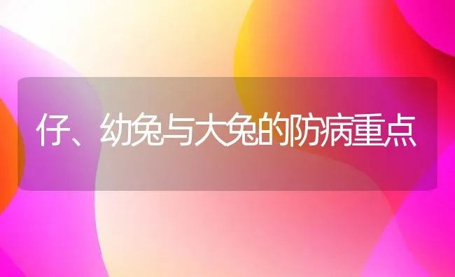 仔、幼兔与大兔的防病重点 | 水产养殖知识