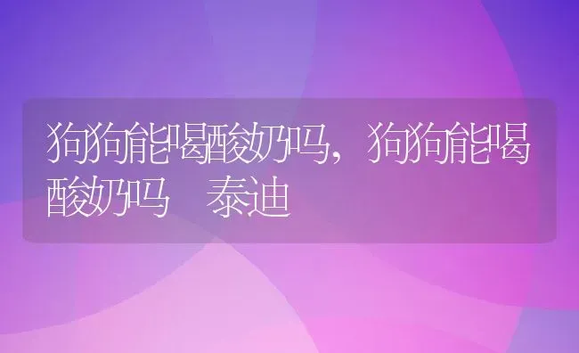 狗狗能喝酸奶吗,狗狗能喝酸奶吗 泰迪 | 宠物百科知识