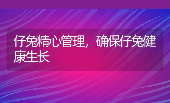 仔兔精心管理，确保仔兔健康生长 | 动物养殖学堂