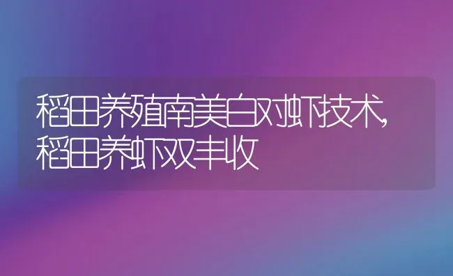 稻田养殖南美白对虾技术,稻田养虾双丰收 | 动物养殖百科