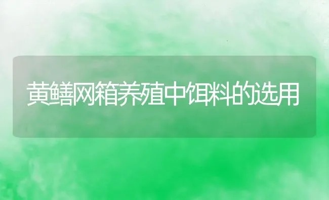 黄鳝网箱养殖中饵料的选用 | 动物养殖饲料