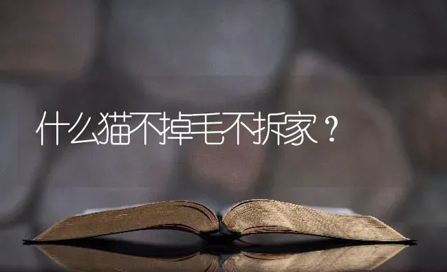 长不大，可爱，没体味，不掉毛的狗狗有哪些？ | 动物养殖问答