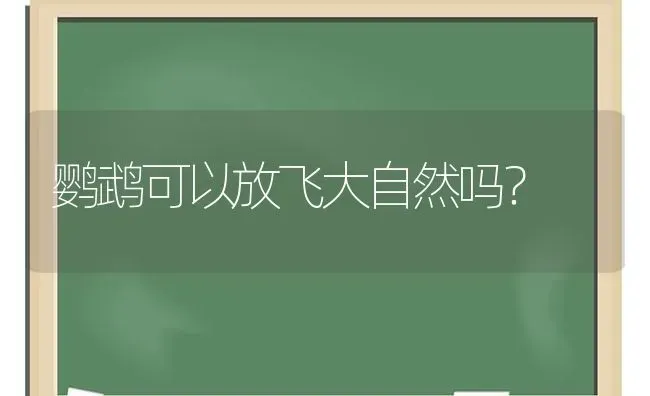 鹦鹉可以放飞大自然吗？ | 动物养殖问答