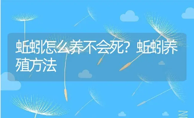 蚯蚓怎么养不会死？蚯蚓养殖方法 | 动物养殖百科