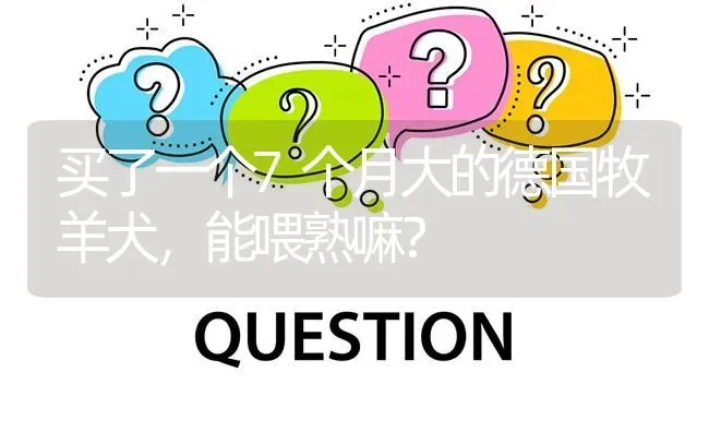 买了一个7个月大的德国牧羊犬，能喂熟嘛？ | 动物养殖问答