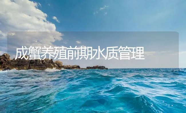 成蟹养殖前期水质管理 | 海水养殖技术