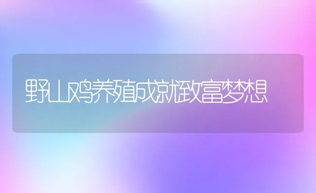 野山鸡养殖成就致富梦想 | 动物养殖教程