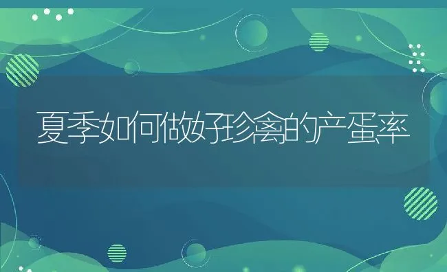 钦州对虾 | 海水养殖技术