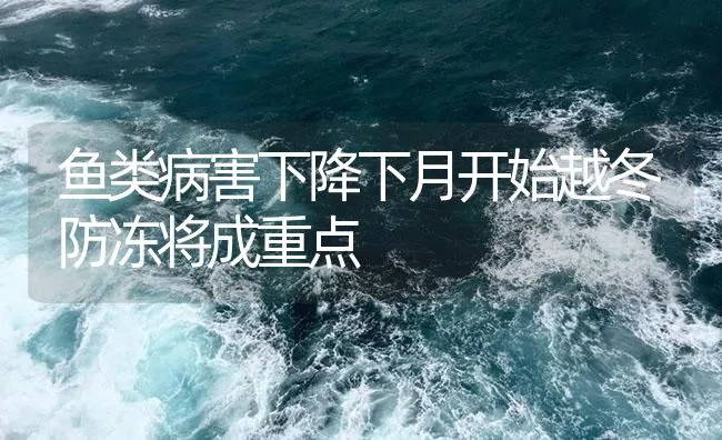 水库养鱼要技术要点 | 海水养殖技术