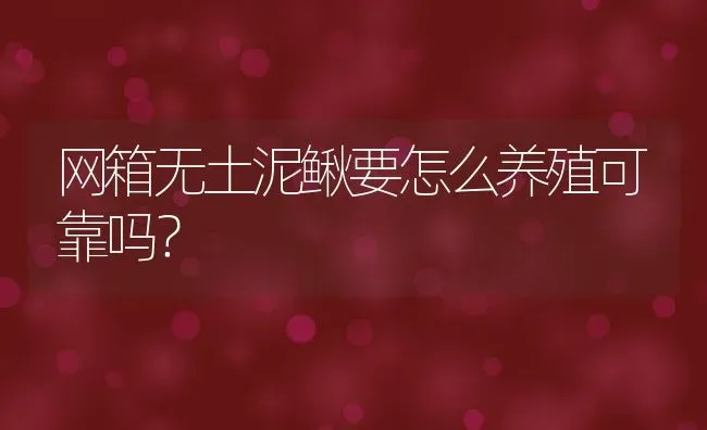 网箱无土泥鳅要怎么养殖可靠吗？ | 动物养殖百科