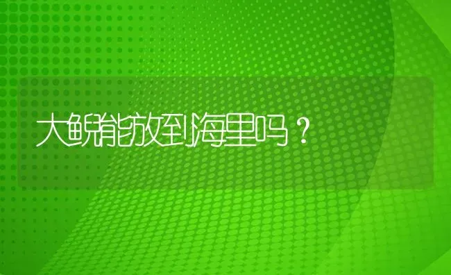 大鲵能放到海里吗？ | 鱼类宠物饲养